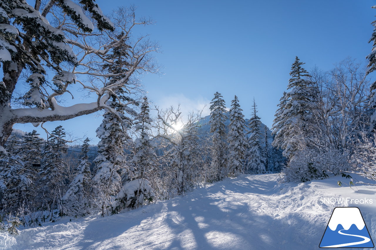 大雪山層雲峡・黒岳ロープウェイスキー場｜雪質も、景色も。やはり黒岳は別格。パウダースノーが舞う、北海道最高所にあるスキー場が営業開始！